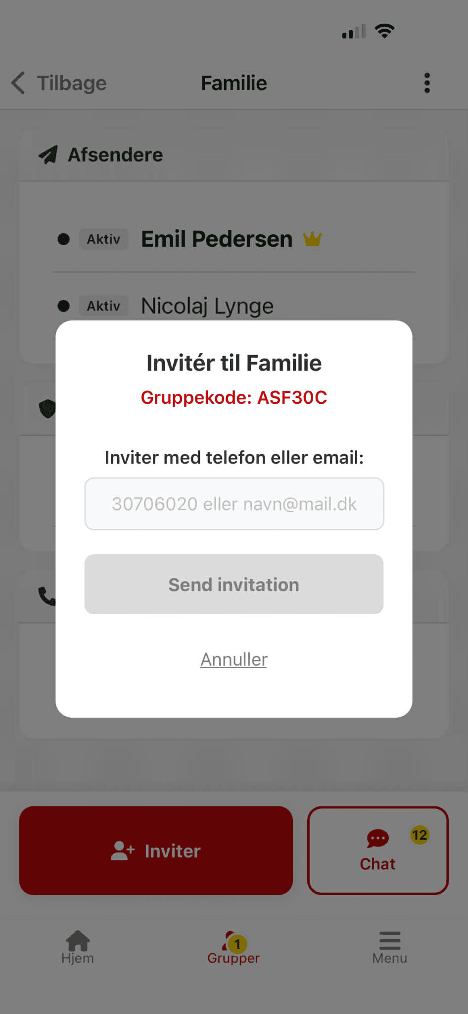 Tryk på "Se og invitér"